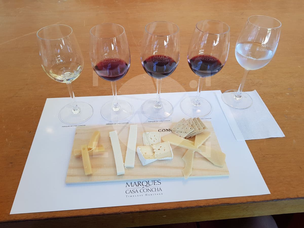 Vinos y quesos