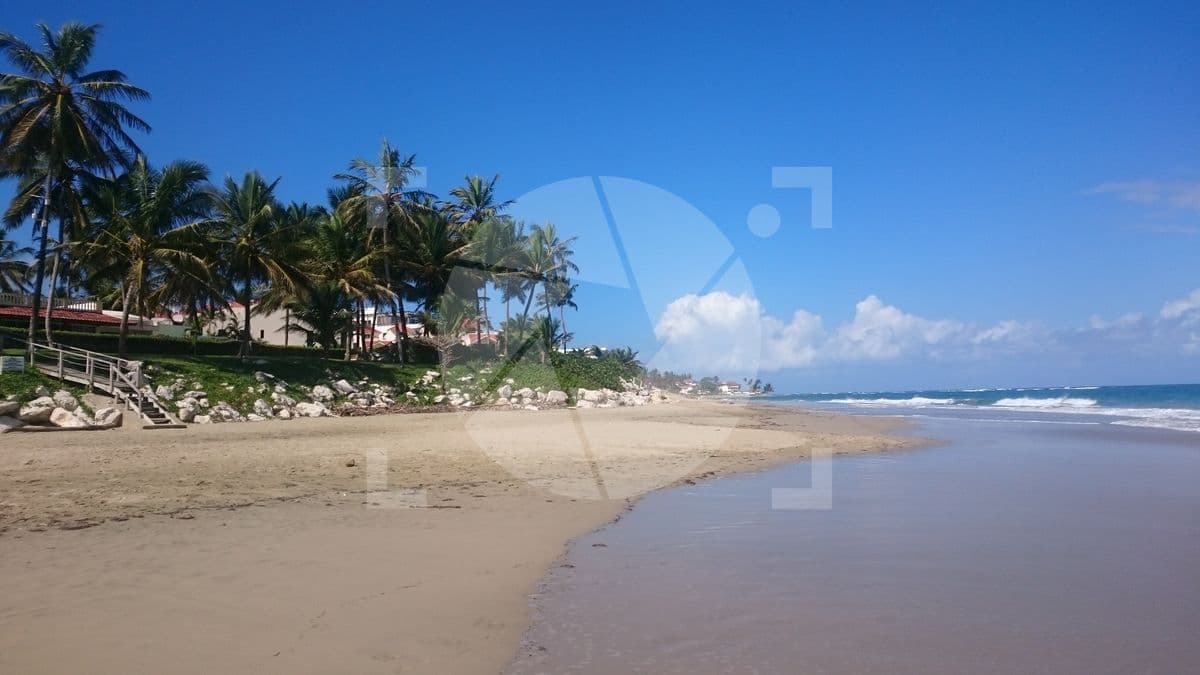 Palmeras sol playa
