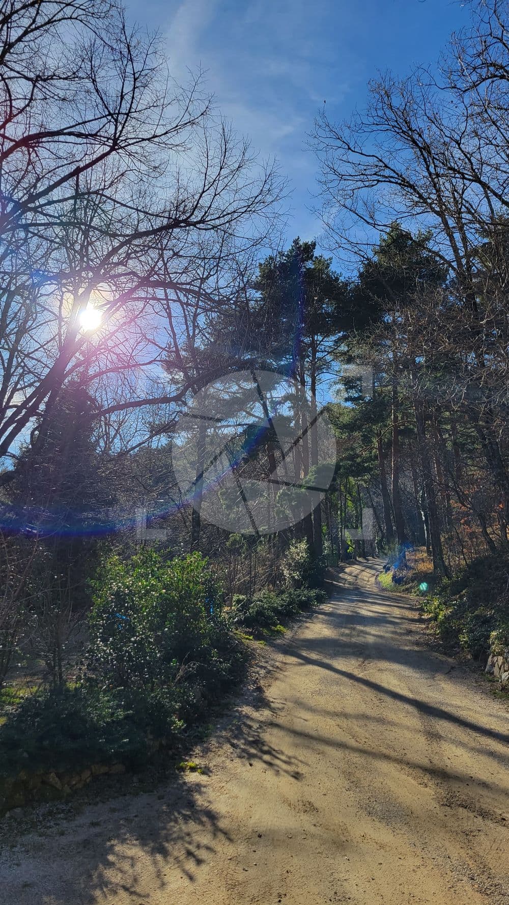 Sendero