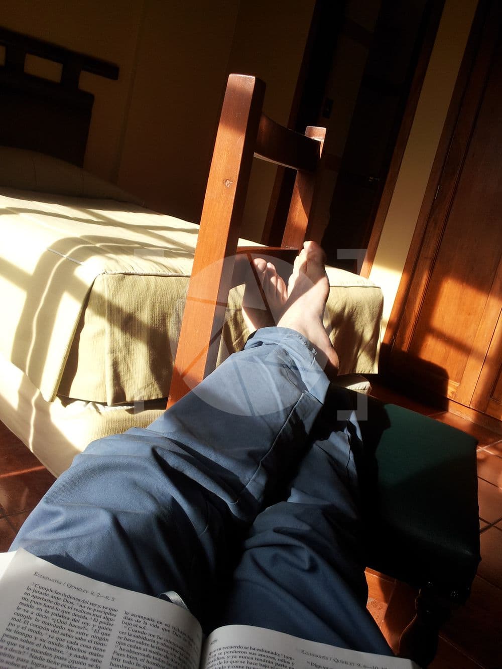 Leyendo al atardecer
