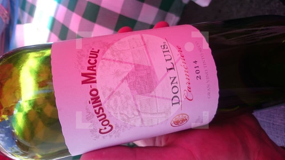 Vino Cousiño Macul