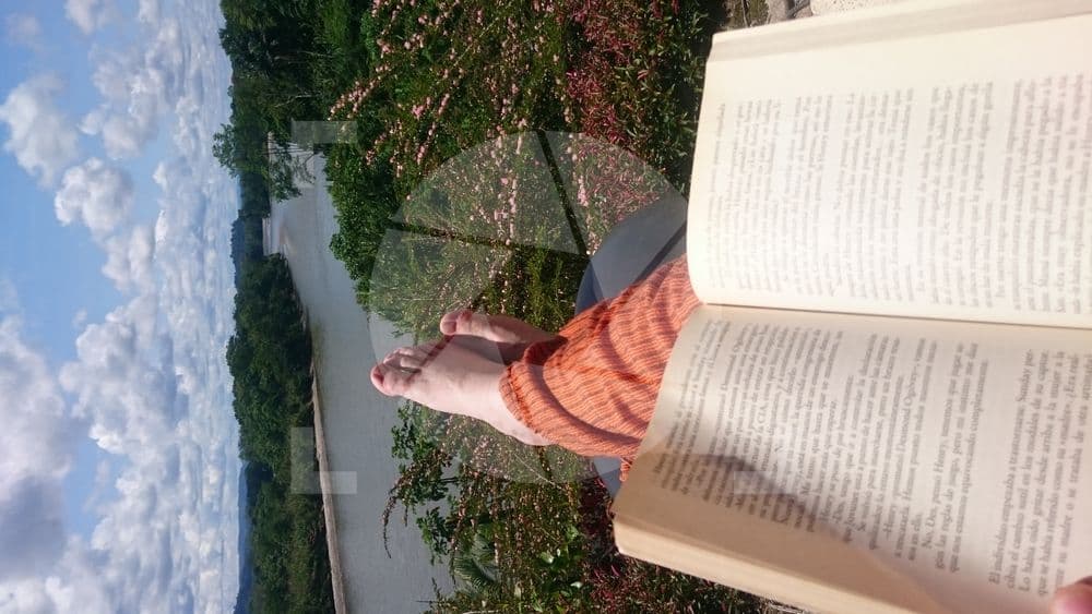 Leyendo en el río