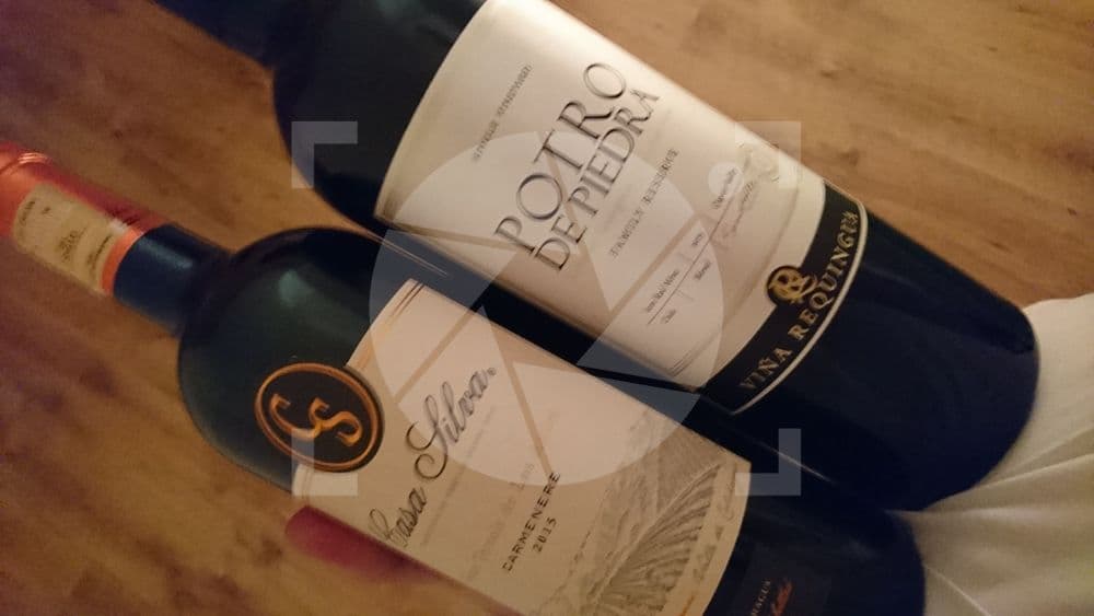 Vinos Tintos Casa Silva y Potro de Piedra