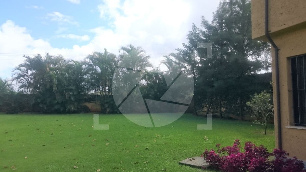 Jardín hermoso